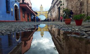 street with puddles and flowers in pots