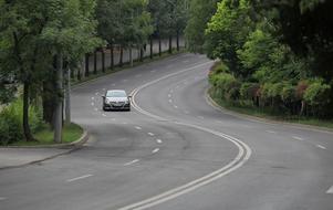 car on a winding highway among the trees