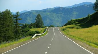 Road Highway and green forest