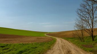 Path Field road