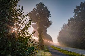 sun rays on the bike path in Ahterver, Germany