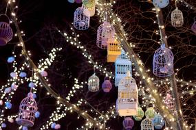 colorful bird cages and lights on trees and night, decorations