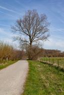 Walking Path along the green field