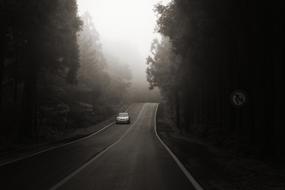 Black and white photo of the car on the beautiful, foggy road among the trees in Bijarimro, Jejus Island, Republic of Korea