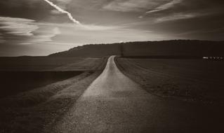 Road Sepia Panorama