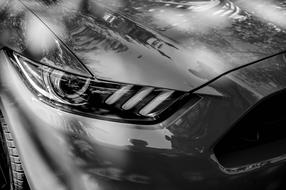 Auto Black white