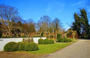 Beautiful, green shorn bushes, among other colorful plants