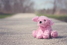 Toy Pink Bear in road