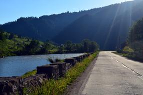 Road Nature sunlight