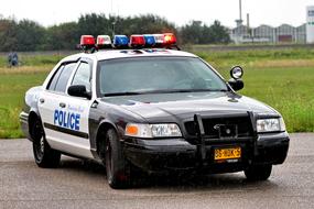 Police car with colorful lights, on the road, near the green field, trees and buildings