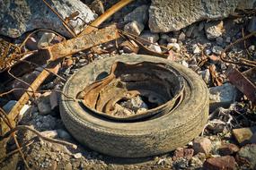 old car tire among debris