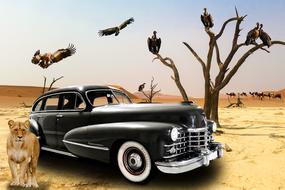 Vehicle Oldtimer Cadillac lion birds