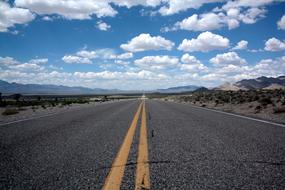Beautiful road with yellow lines among the desert with green plants