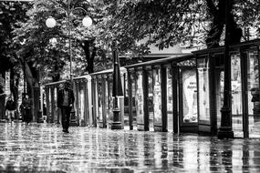 Black and white photo of the beautiful street with the people, lanterns and trees, after the rain