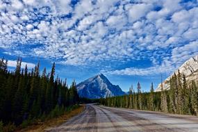 Beautiful and colorful landscape of the road, among the mountains and trees, under the blue sky with white clouds