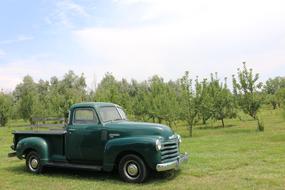 retro truck chevrolet in agriculture