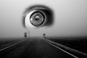 Black and white landscape of the foggy road, among the fields, under the eye, clipart