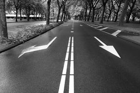 black and white photo of Arrow Markers on Road