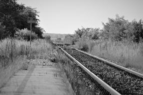 monochrome photo of Abandoned Rail Station Tracks