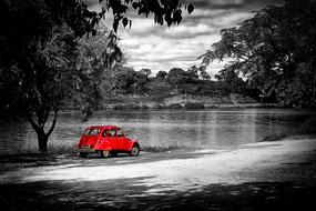 Car Trees Red blacl and white