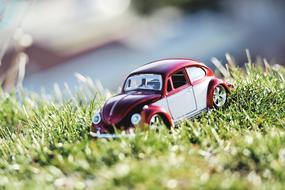 Red car model on green grass