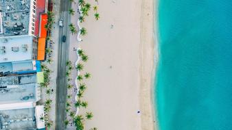 Beach Sand Blue tree