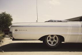 white Vintage Auto