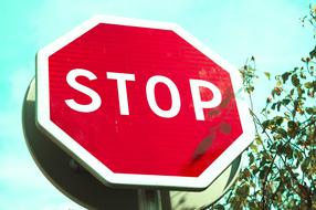 Red and white "STOP" sign in light, near the green branches