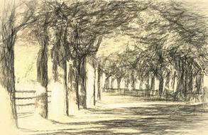 Landscape Avenue Tree drawing