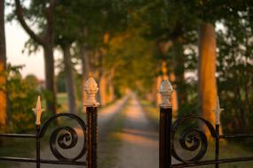 Fence Road sun Landscape