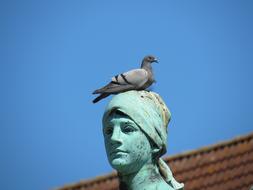 dove on the head of the statue