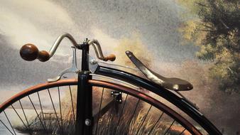 Close-up of the shiny, retro bicycle, near the painting with the colorful and beautiful plants