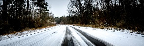 Beautiful landscape of the snowy road, among the colorful plants, in the winter