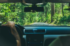 Guy car forest