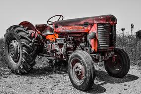 Old, retro, red tractor, on the black and white landscape