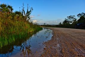 puddles on the side of a country road