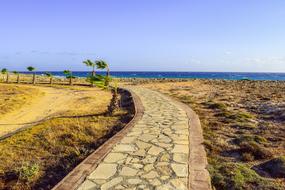 Beautiful path among the colorful plants in Ayia Napa, Cyprus, Greece