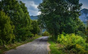 road along the trees to the Bukk massif, Hungary