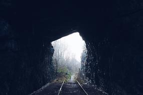 Tunnel Dark forest road