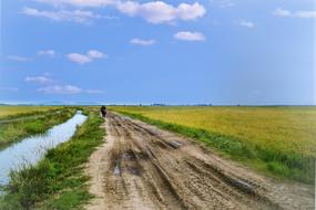 Nature Landscape Sky road