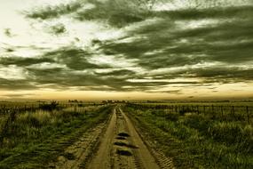 Beautiful landscape of the rural road, among the colorful plants, under the cloudy sky