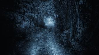 road mystic magic blue forest