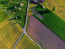 aerial view of Green and yellow fields