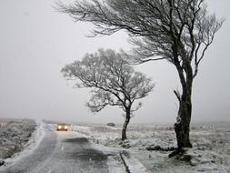 Beautiful, snowy landscape with the car, with the lights, on the road, near the trees, among the fields, in Ireland, in the winter