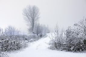 Landscape of Cold Countryside