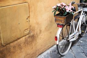 bicycle box flowers