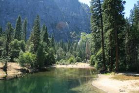 America Nature forest and river