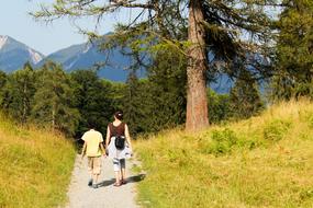 Family Mother Child forest road