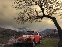 vintage red car beneath blooming tree in scenic countryside, turkey