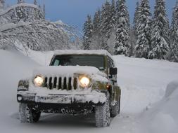 Jeep Winter Snow forest
